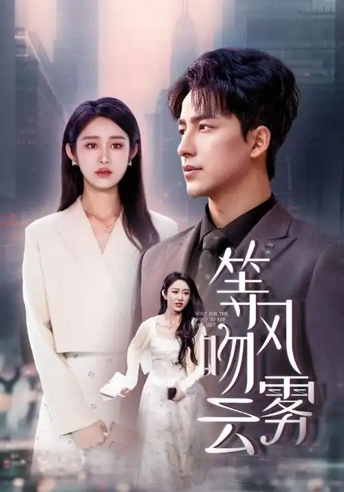 精品电影《雾港十七日》剧集海报